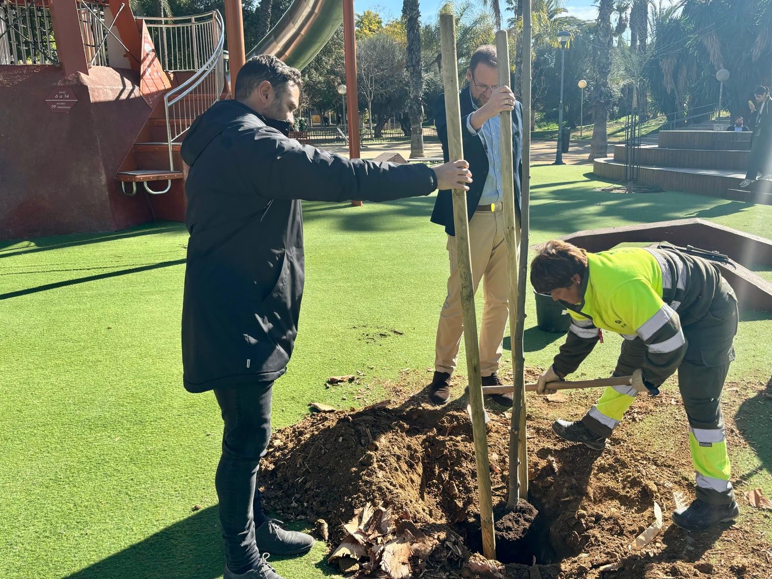 El Ayuntamiento de Murcia repondrá más de un millar de árboles durante los meses de invierno